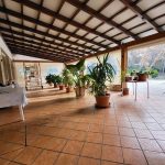 Bar, Restaurant, apartments fos sale in Son Parc Menorca
