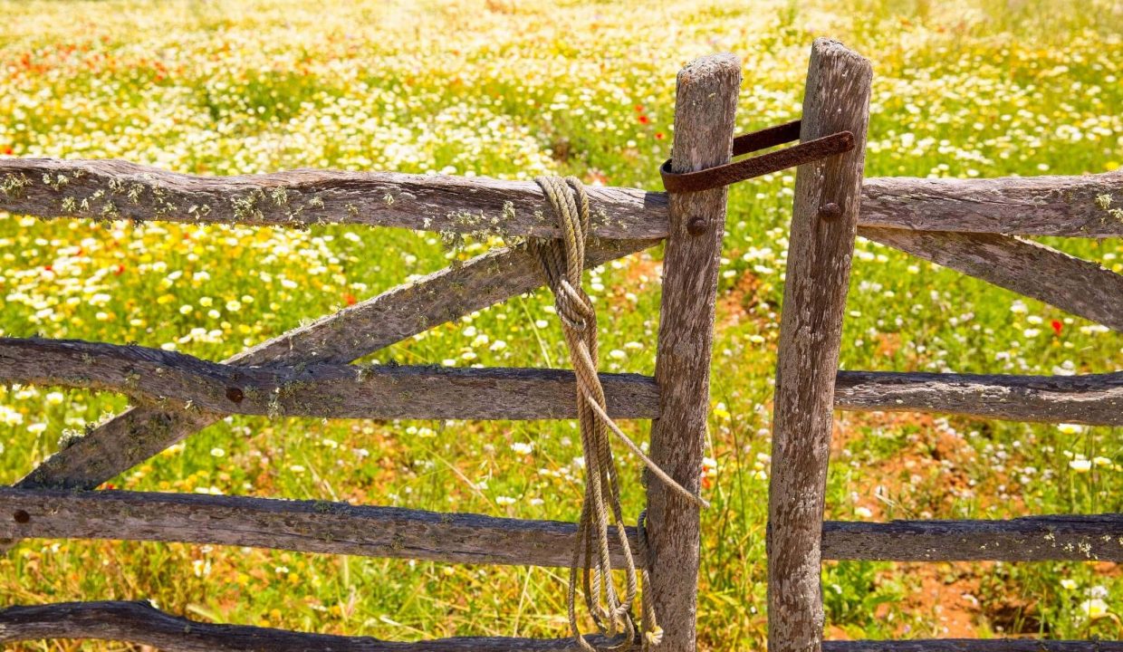 a garden behind wooden gate in menorca
