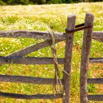 a garden behind wooden gate in menorca